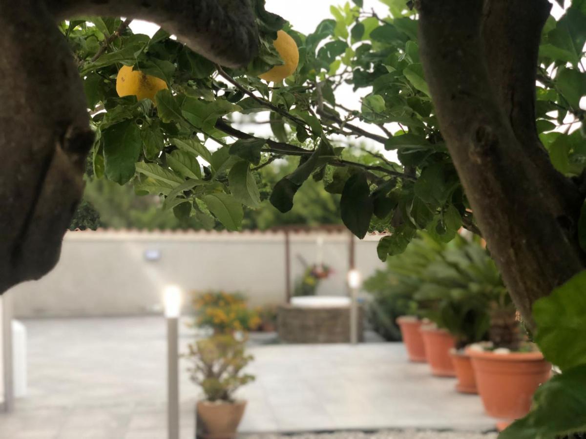 InVilla Bed&Breakfast Santa Maria di Castellabate Esterno foto