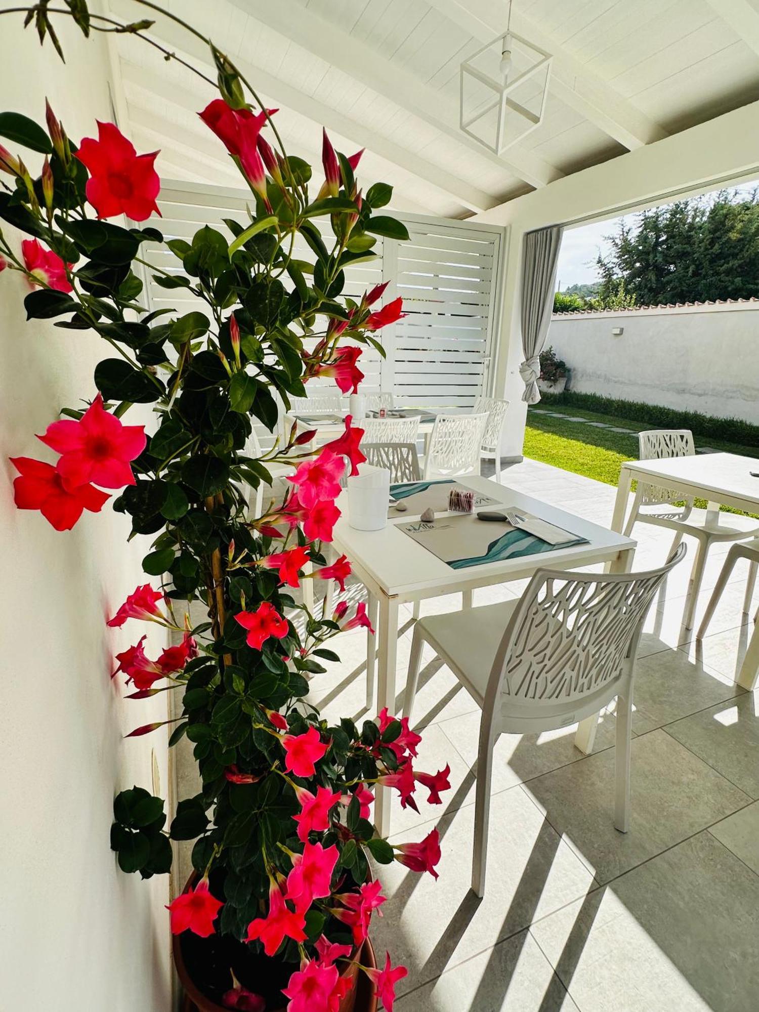 InVilla Bed&Breakfast Santa Maria di Castellabate Esterno foto
