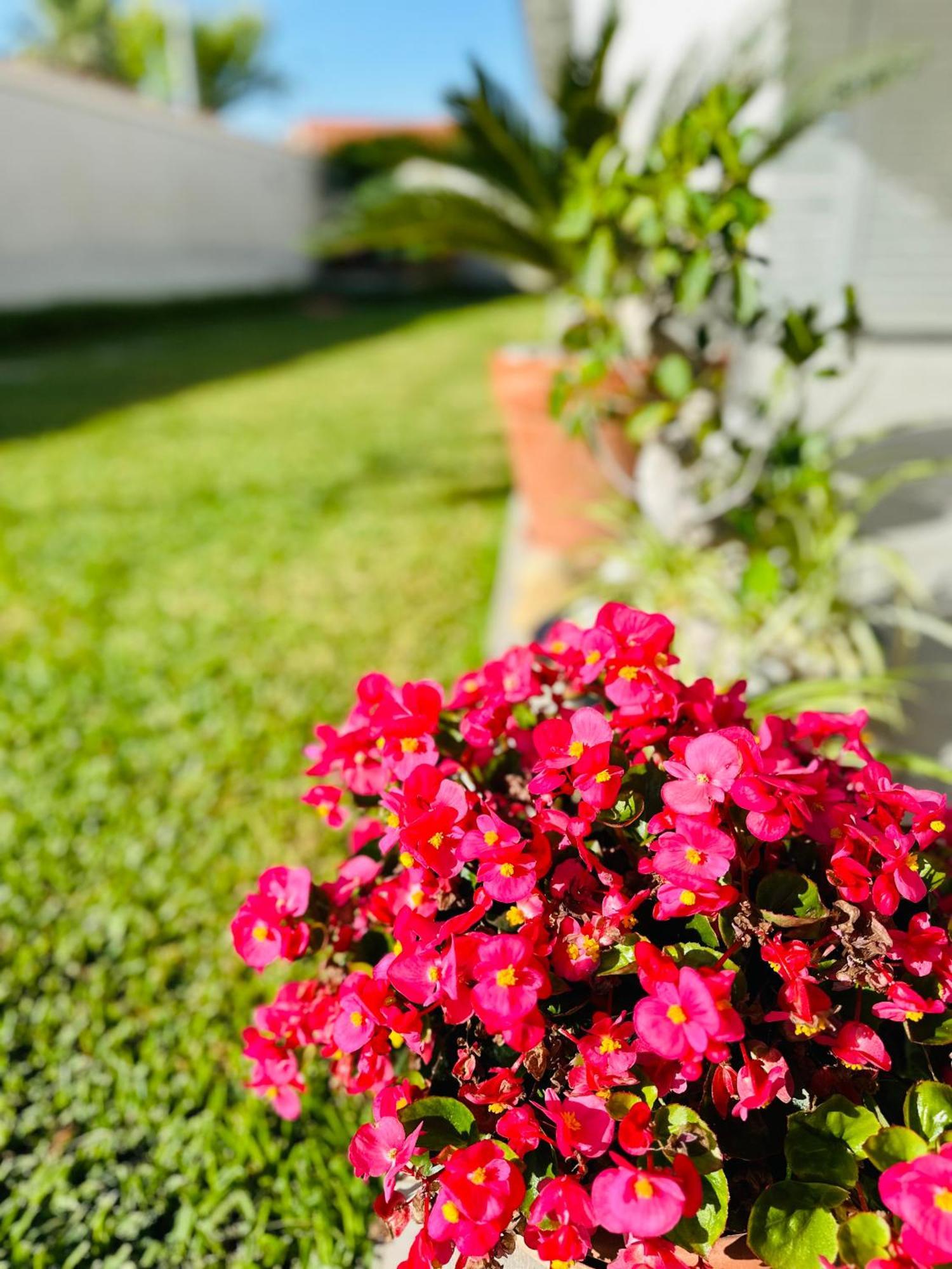 InVilla Bed&Breakfast Santa Maria di Castellabate Esterno foto
